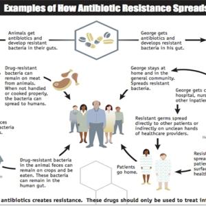 Pengaturan Penggunaan Antibiotik Untuk Menyelamatkan Generasi yang Akan Datang